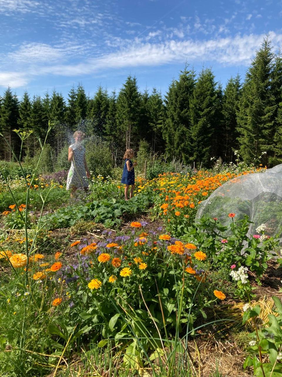 Escape To Paulssonpaleo Bed and Breakfast Simlångsdalen Εξωτερικό φωτογραφία